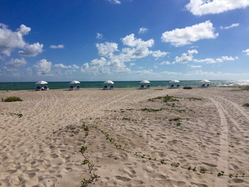 Sand at the beach with umbrellas in the background